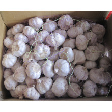 Exportar nueva cosecha Fresh Good Quality Normal White Garlic (4.5 / 5.0)